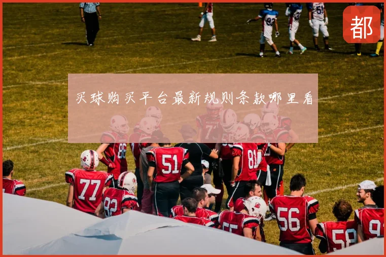 买球购买平台最新规则条款哪里看