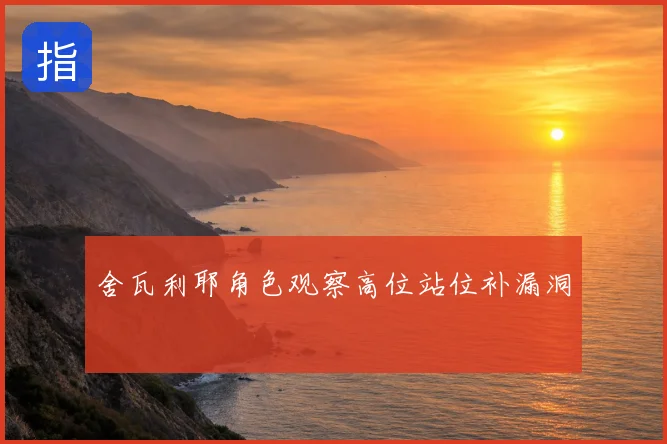 舍瓦利耶角色观察高位站位补漏洞