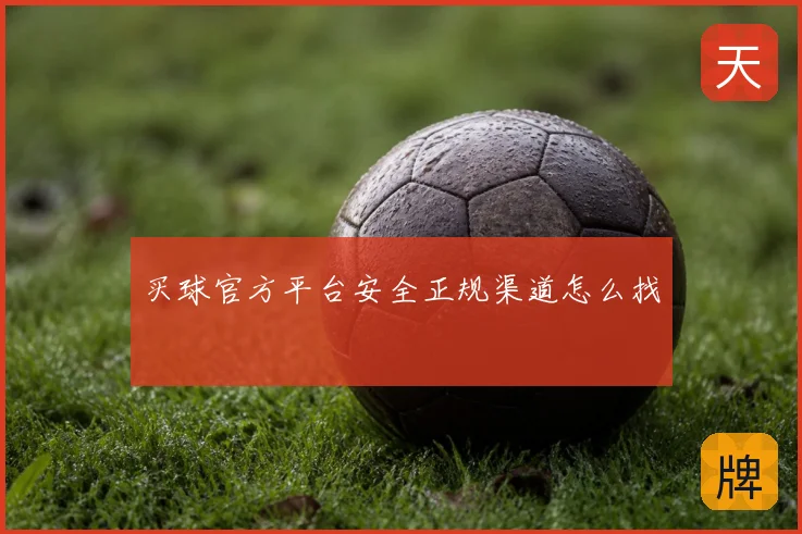 买球官方平台安全正规渠道怎么找